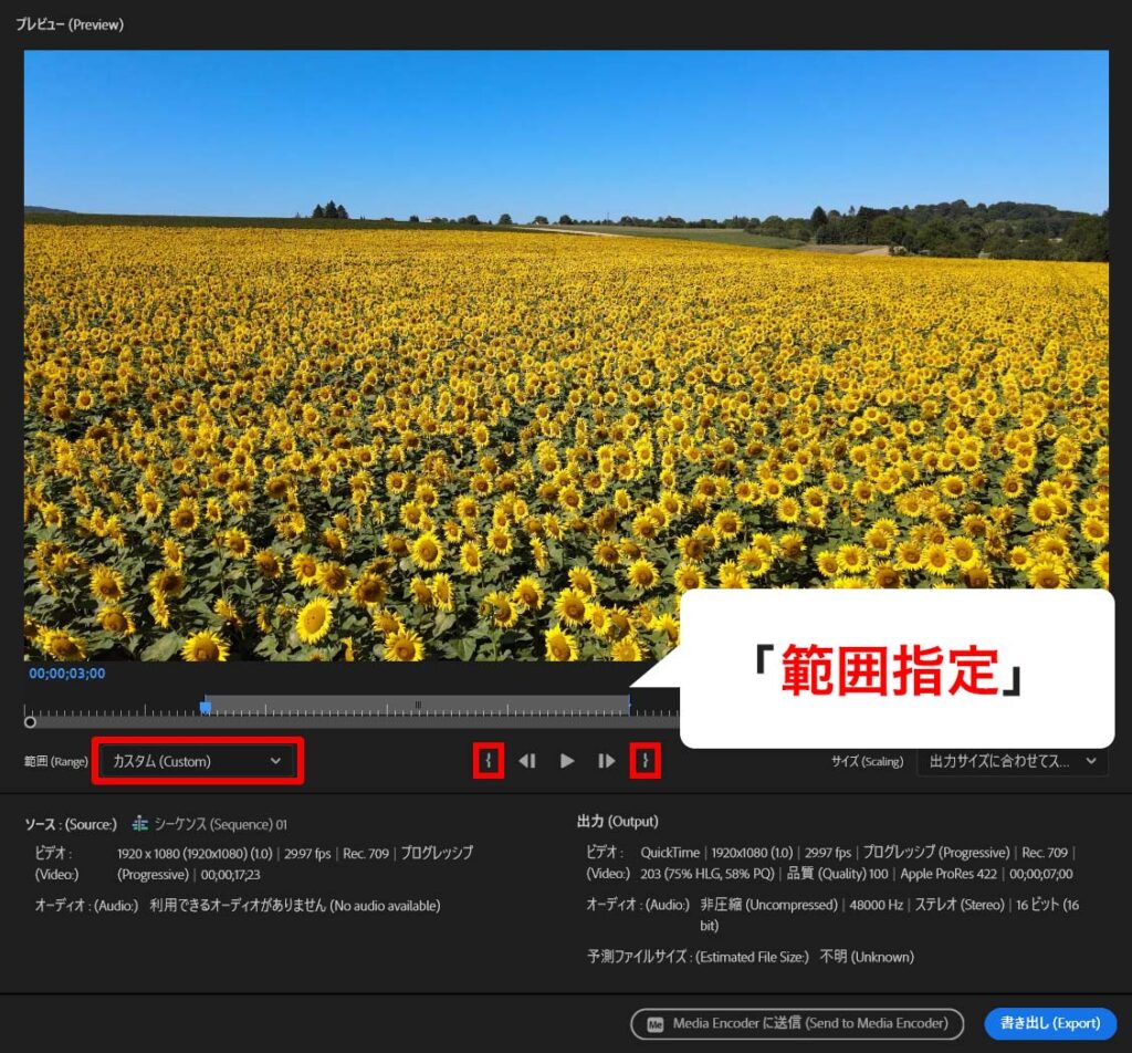 premiere pro 書き出し カスタム