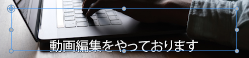 PremierePro「代替テキスト」