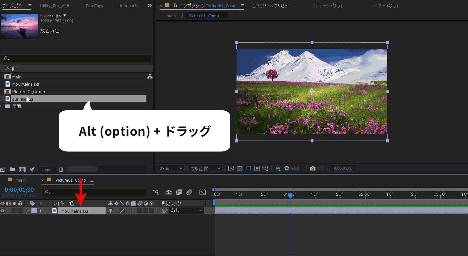 AftreEffectsでプロジェクトパネルの素材を入れ替える